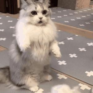 无尽 女同 扶她 3d动漫
